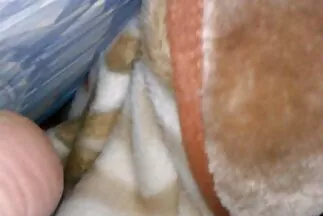Một phim sex nhat gai dep cô gái xinh đẹp chèn một máy rung vào âm hộ của cô ấy.