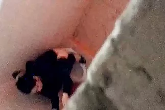 Trước khi làm việc, con đực đặt con cặc của phim sex da đen chơi gái nhật mình vào ngực của con bê cái.